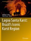 Lagoa Santa Karst: Brazil's Iconic Karst Region