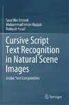 Cursive Script Text Recognition in Natural Scene Images