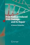 Free-Radical-Induced DNA Damage and Its Repair