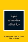 Tinykin'S Transformations