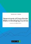 Determinants of Cross-Border M&As in Developing Countries. Investments in the BRICS Countries