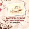 RACCOLTA DISEGNI