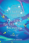 A Link Between Two Worlds / Un Lien Entre Deux Mondes