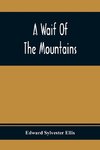 A Waif Of The Mountains