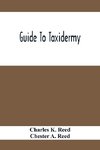 Guide To Taxidermy