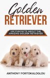 Golden Retriever 100 Fun Facts About the Amazing Golden Retriever