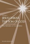 Jesus Christ, the Son of God, the Witness of the Gospels,  Vol. 3