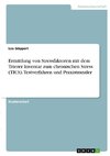 Ermittlung von Stressfaktoren mit dem Trierer Inventar zum chronischen Stress (TICS). Testverfahren und Praxistransfer