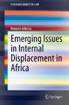 Emerging Issues in Internal Displacement in Africa