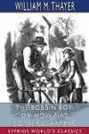 The Bobbin Boy; or, How Nat Got His Learning (Esprios Classics)