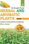 HERBAL AND AROMATIC PLANTS - 39. Zea mays (Maize)