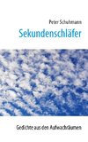 Sekundenschläfer