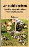 Landschildkröten Griechisch und Vierzehen