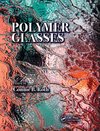 Polymer Glasses