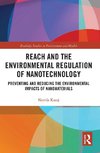 REACH and the Environmental Regulation of Nanotechnology