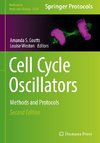 Cell Cycle Oscillators