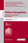 Pattern Recognition. ICPR International Workshops and Challenges