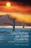 Catastrophes and Lesser Calamities