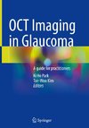 OCT Imaging in Glaucoma