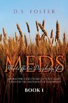 Most Effective Discipleship Seeds (MEDS)