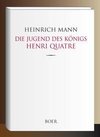 Die Jugend des Königs Henri Quatre