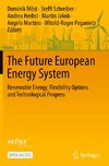 The Future European Energy System