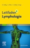 Leitfaden Lymphologie