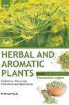 HERBAL AND AROMATIC PLANTS - Foeniculum vulgare (SAUNF)