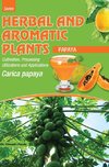 HERBAL AND AROMATIC PLANTS - Carica papaya (PAPAYA)