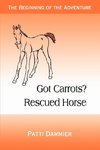 Got Carrots? Rescued Horse