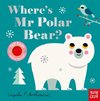 Where's Mr Polar Bear?