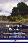 After the Flood