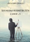 Illusions submergées