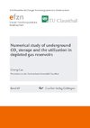 Numerical study of underground CO2 storage and the utilization in depleted gas reservoirs