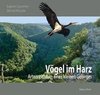 Vögel im Harz