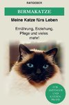 Die heilige Birma Katze