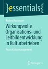 Wirkungsvolle Organisations- und Leitbildentwicklung in Kulturbetrieben