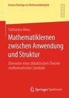 Mathematiklernen zwischen Anwendung und Struktur