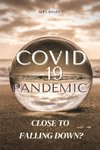 Covid-19 Pandemic