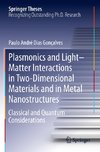 Plasmonics and Light-Matter Interactions in Two-Dimensional Materials and in Metal Nanostructures