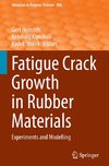 Fatigue Crack Growth in Rubber Materials