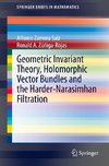 Geometric Invariant Theory, Holomorphic Vector Bundles and the Harder-Narasimhan Filtration