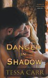 Danger in Shadow