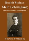 Mein Lebensgang (Großdruck)