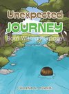 Unexpected Journey
