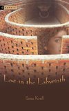 Lost in the Labyrinth