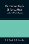 The Common Objects Of The Sea Shore