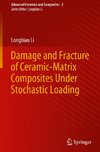 Damage and Fracture of Ceramic-Matrix Composites Under Stochastic Loading