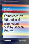 Comprehensive Utilization of Magnesium Slag by Pidgeon Process