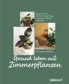 Gesund leben mit Zimmerpflanzen